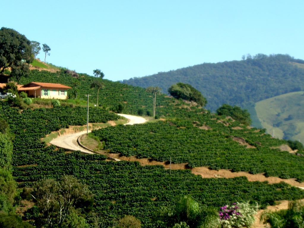 Готель Cafezal Em Flor Turismo E Cafes Especiais Монті-Алегрі-ду-Сул Екстер'єр фото