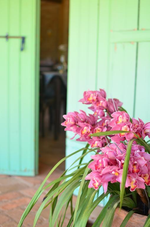 Готель Cafezal Em Flor Turismo E Cafes Especiais Монті-Алегрі-ду-Сул Екстер'єр фото