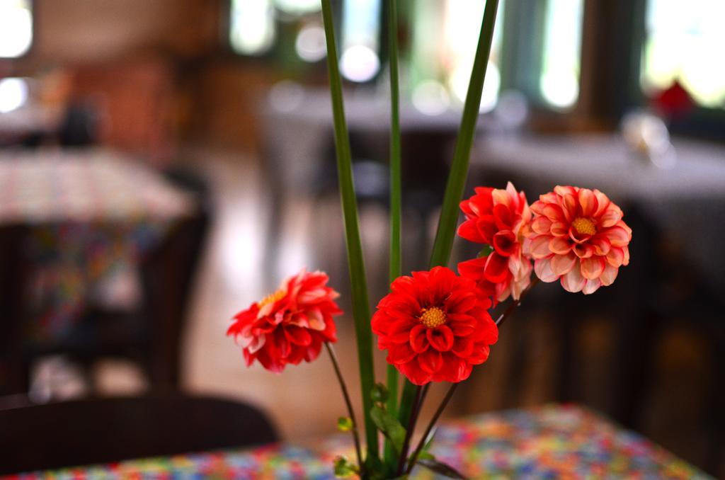 Готель Cafezal Em Flor Turismo E Cafes Especiais Монті-Алегрі-ду-Сул Екстер'єр фото