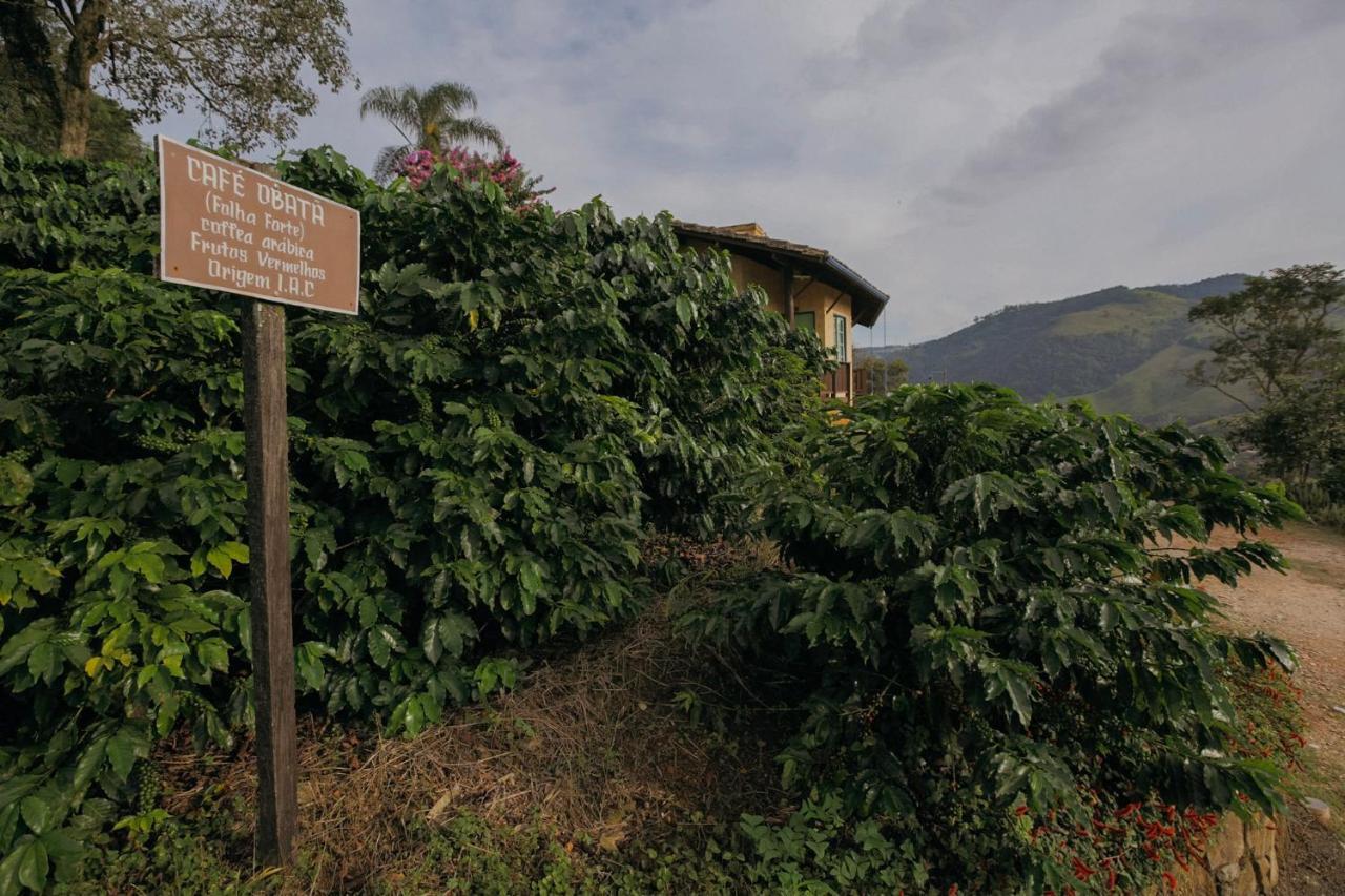 Готель Cafezal Em Flor Turismo E Cafes Especiais Монті-Алегрі-ду-Сул Екстер'єр фото